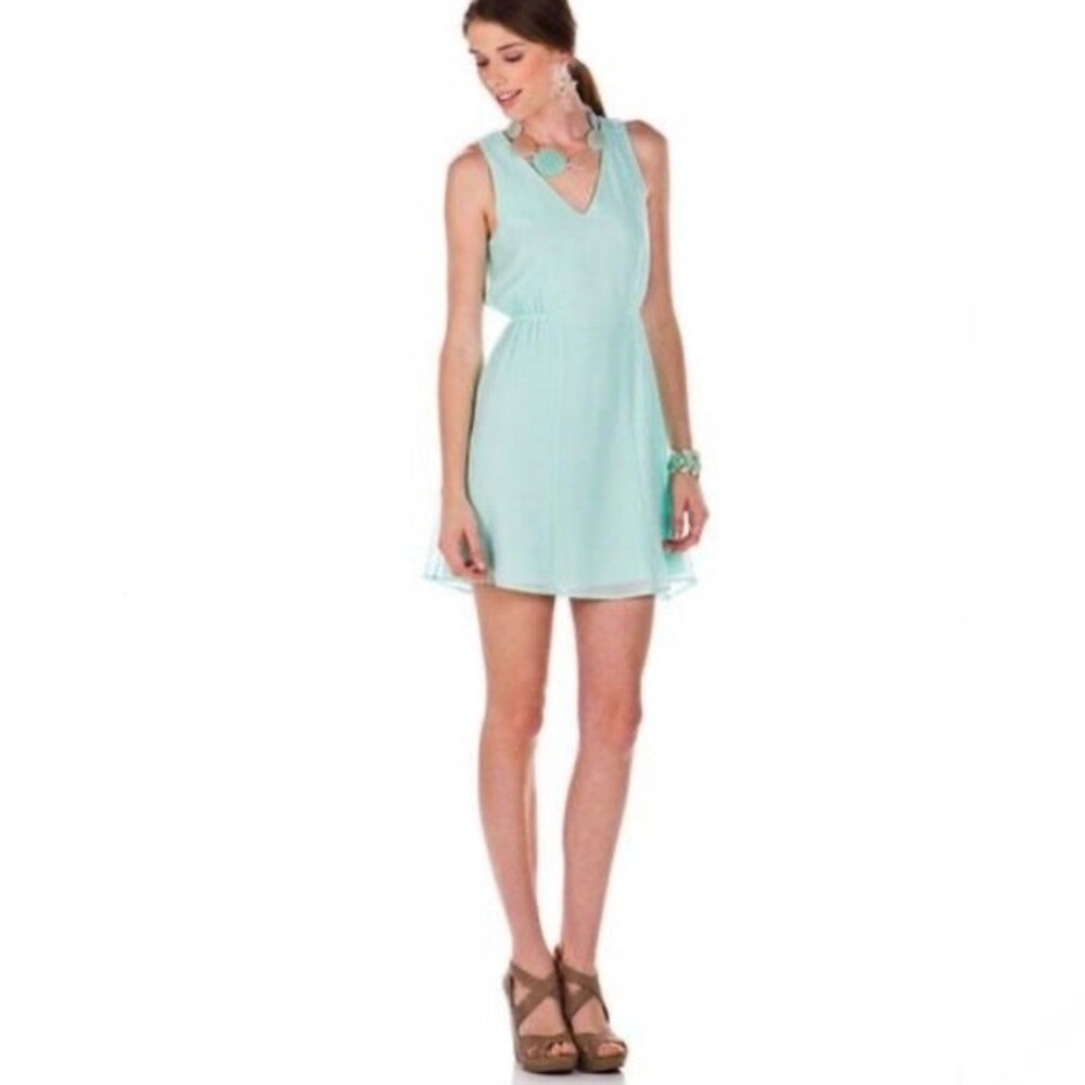 Francesca’s Aina Be chiffon dress with silver flecks size small